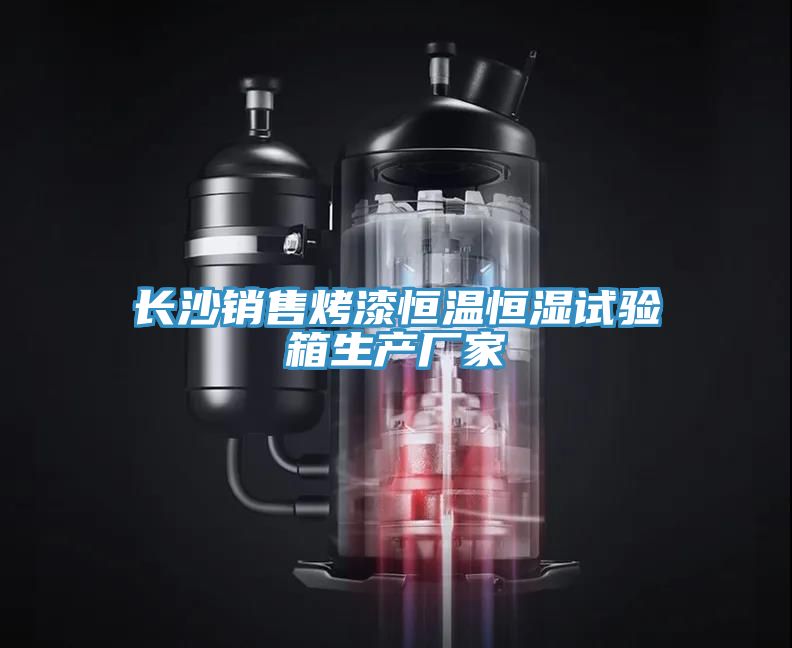 長(zhǎng)沙銷售烤漆恒溫恒濕試驗(yàn)箱生產(chǎn)廠家