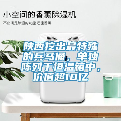 陜西挖出最特殊的兵馬俑，單獨陳列于恒溫箱中，價值超10億