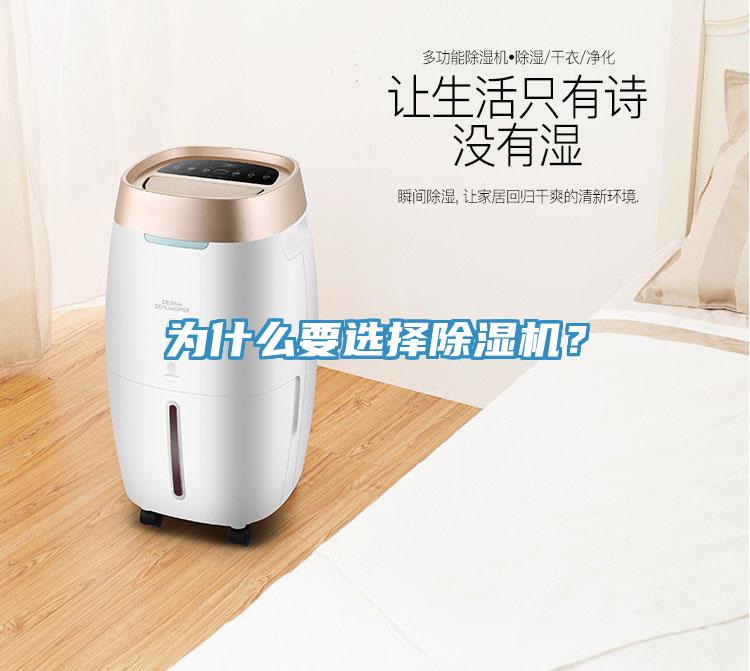 為什么要選擇除濕機(jī)？