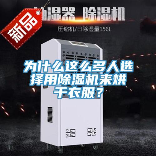 為什么這么多人選擇用除濕機來烘干衣服？